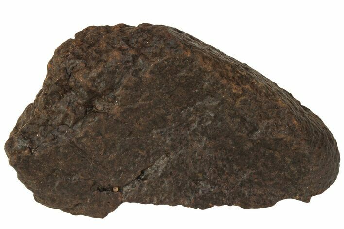 Chondrite Meteorite ( g) - Western Sahara Desert #222364